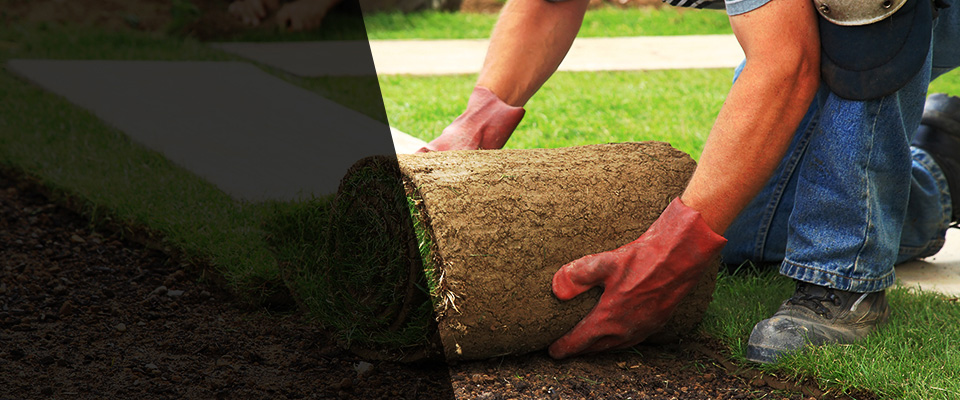 Santa Cruz Landscapers